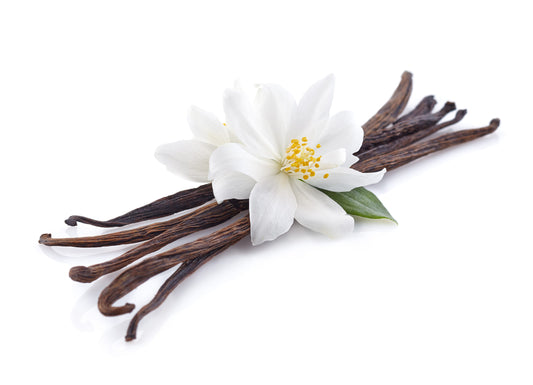 Scentiks™ Warm Vanilla Essential Oil